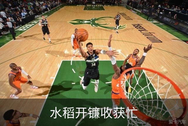 水稻开镰收获忙